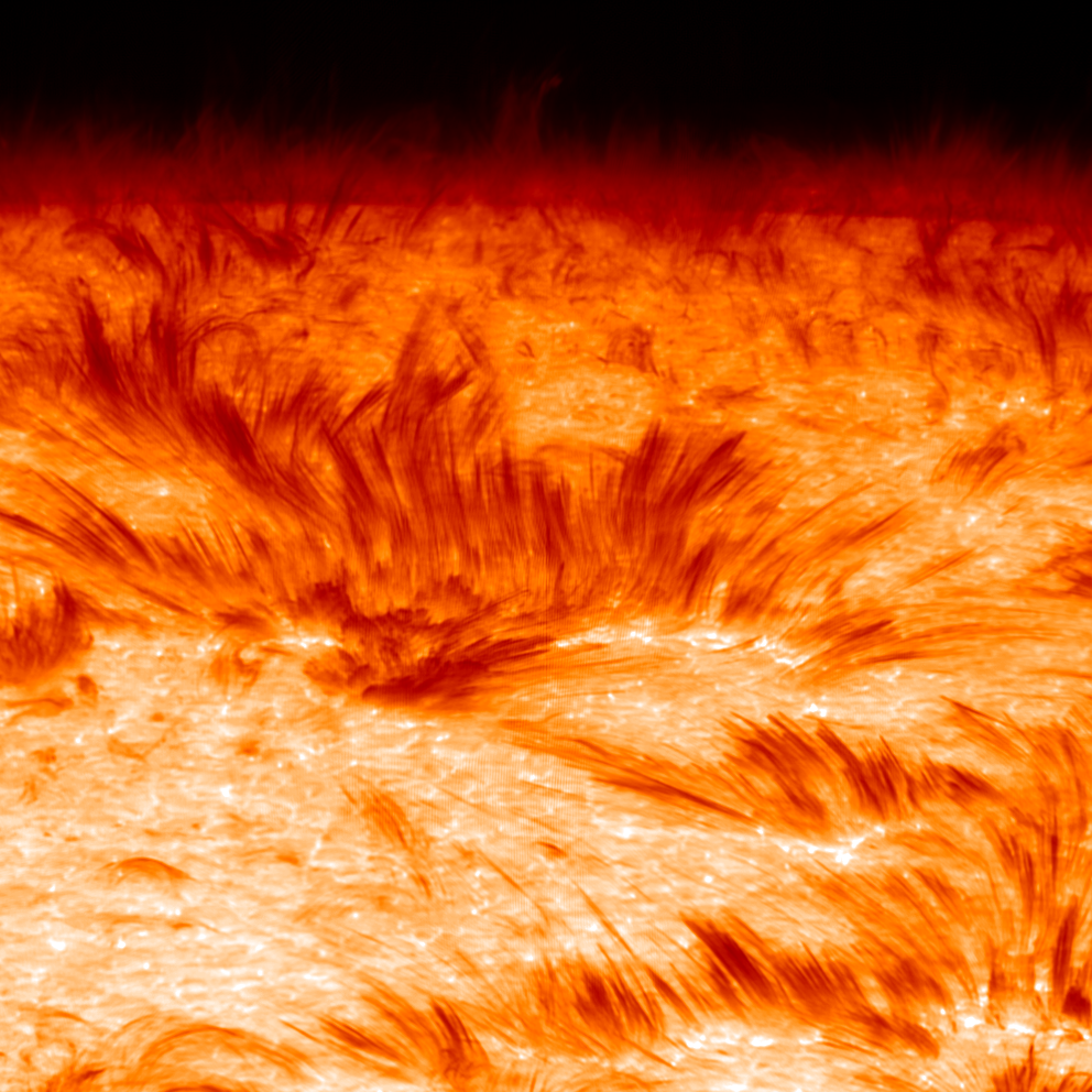 Halpha 700 limb spicules 08Aug2007 SST