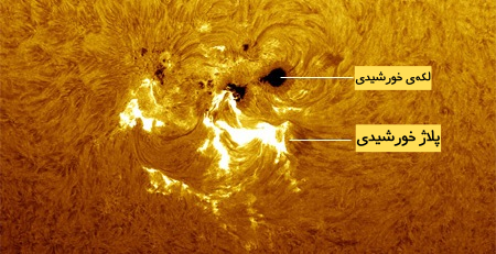 SUN3C