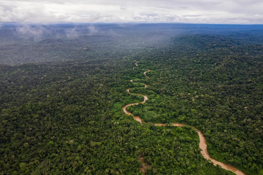 Amazon River
