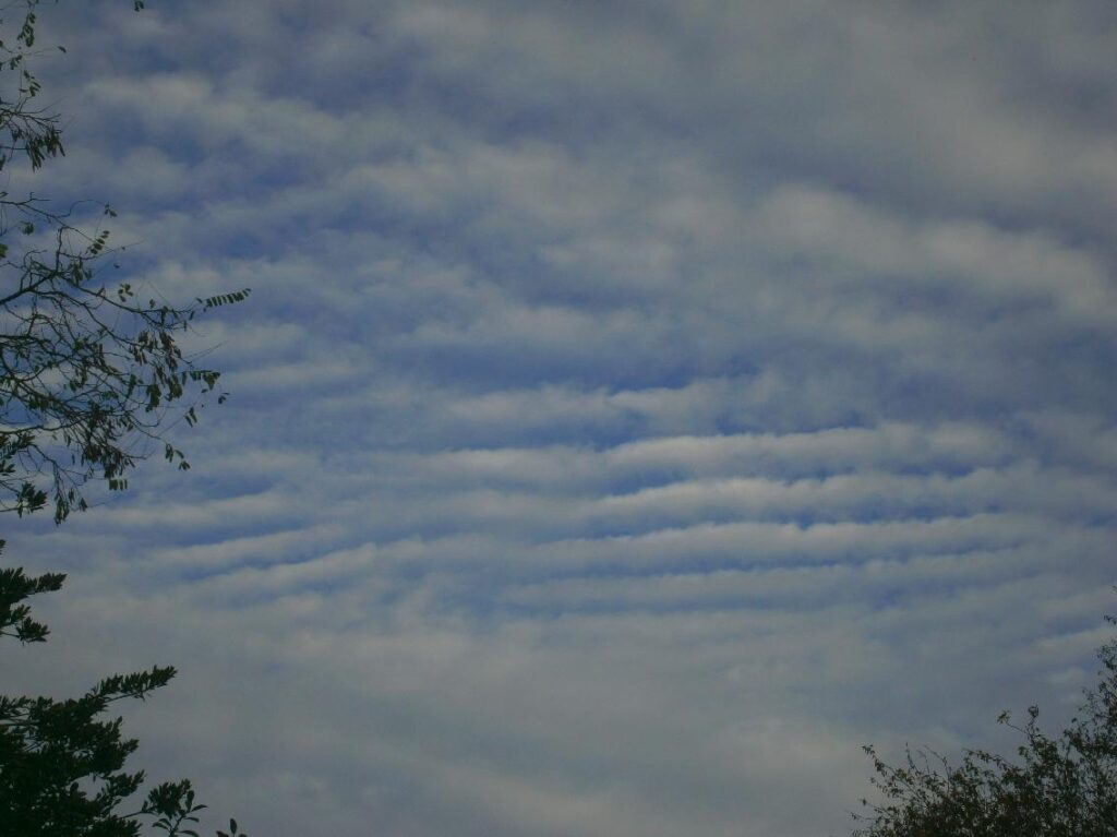 Atmospheric Gravity Waves