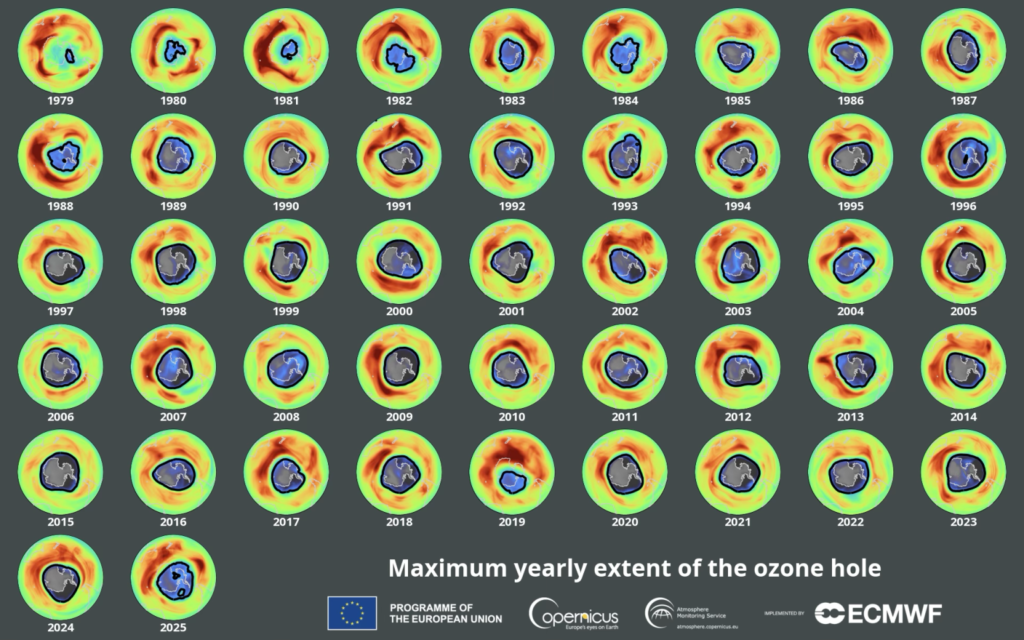 Ozone Recovery 1979 2025