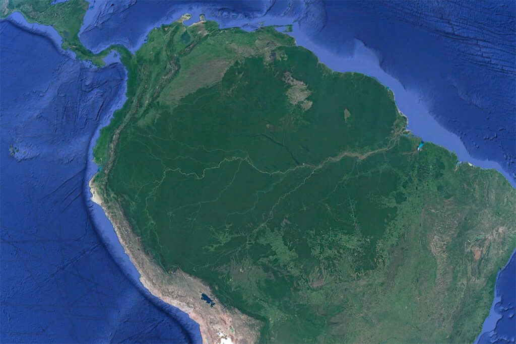 amazon rainforest