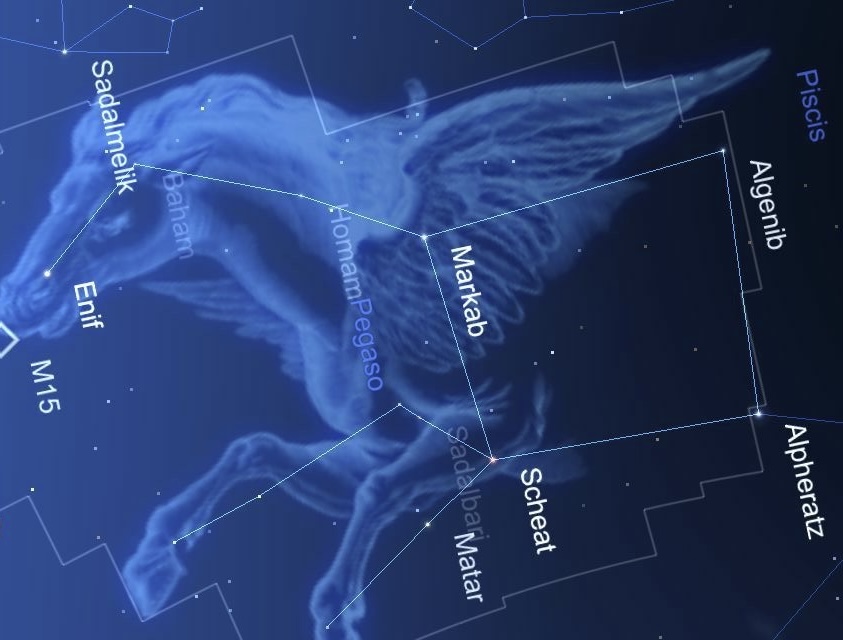 pegasus